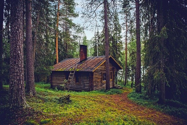 log cabin, cottage, house, home, finland, landscape, nature, outdoors, country, rural, forest, trees, woods, cottage, house, house, house, house, home, home, home, home, home, finland, forest, forest