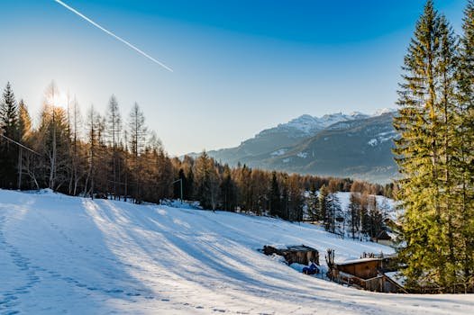 idyllisch winterlandschap in Cortina d'Ampezzo met besneeuwde bergen en dennenbomen