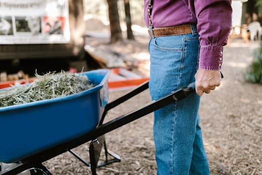Man in jeans and shirt handling wheelbarrow full of grass in a garden setting.